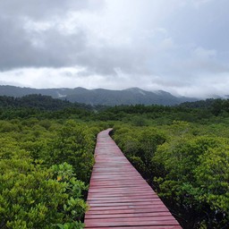 สวยมาก บรรยากาศดีสุดๆ