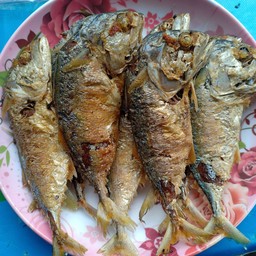 ปลาทูทอด