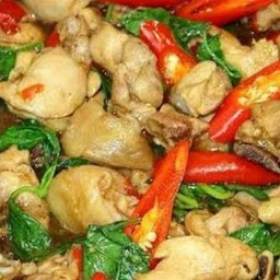 อกไก่ผัดใบโหระพาราดข้าว