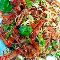 โจ้ แมลงทอด ตลาดเซฟวัน