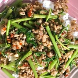 กะเพราหมูสับใส่ผักบุ้งราดข้าว