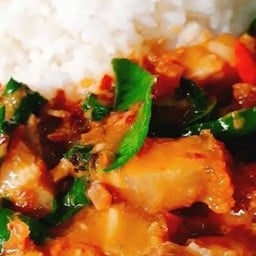 ผัดพริกแกงหมูกรอบราดข้าว