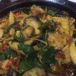 ผัดฉ่าปลาคังกระทะร้อน