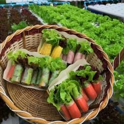 สลัดโรล 💚(Salad Roll กลิ้งไว้ก่อนแม่สอนไว้) จรัญ 3