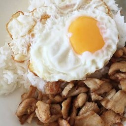 ไก่ผัดน้ำมันหอยราดข้าว