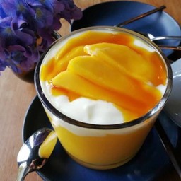 MANGO YOGURT SMOOTHIE
