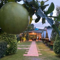 ร่มไม้ชายน้ำ จันทบุรี