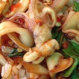 กะเพราปลาหมึก