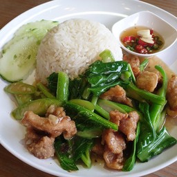 ข้าวคะน้าหมูทอด