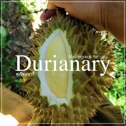 Durianary ทุเรียนนารี่