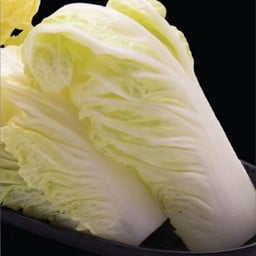 ผักกาดขาว