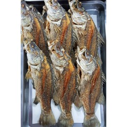 ปลากระพงทอดตัว