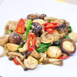 ผัดเห็ดนํ้ามันหอยราดข้าว