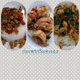 กะเพราริมคลอง