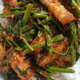 ข้าวราดพริกแกงผักบุ้ง หมุกรอบ,กุ้ง,หมึก,เนื้อ,รวมมิตร