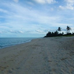 ไม่มีขยะพวกถุง พลาสติก แก้ว กระดาษ ขวด โฟม ให้รำคาญใจ