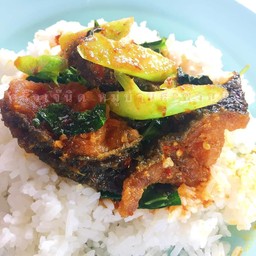 ข้าวราดเครื่องแกงปลาดุก