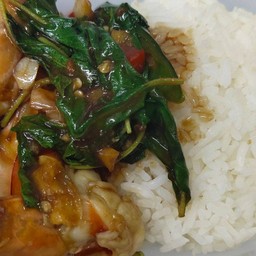 ข้าว+กะเพรากุ้ง