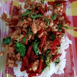 กระเพราหมูสับ เล็ก