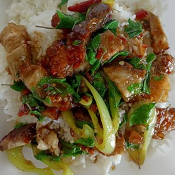 อิ่มอร่อยอาหารตามสั่ง