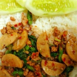 ข้าวหมูยอหมูสับผัดกระเพรา