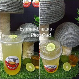 น้ำผึ้งมะนาว