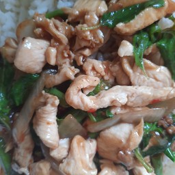 กะเพราไก่ ราดข้าว