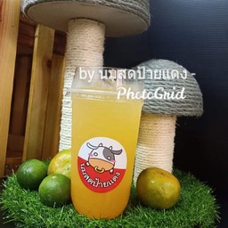 ส้มมะนาว