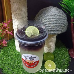 อัญชันมะนาว