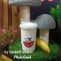 กล้วยนมสด