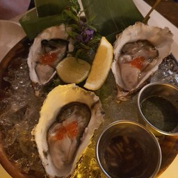 OYSTER