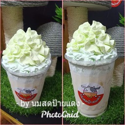 ไวท์มอลวิปถัง