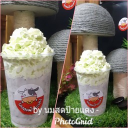 โอริโอ้วิปถัง