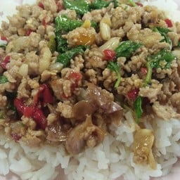 กะเพราหมูสับราดข้าว