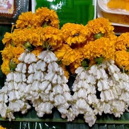 ดอกดาวเรือง