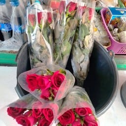 กุหลาบกำแดง