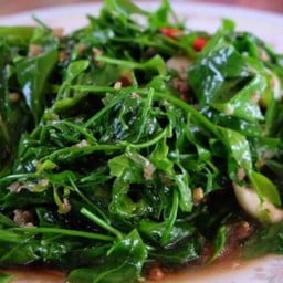 ผักหวานไฟแดง