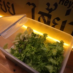 ผักสด ฟรี