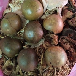 น้ำจับเลี้ยง+หล่อฮั่งก๊วย สูตรอาก๋ง