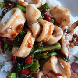 กะเพราปลาหมึก ราดข้าว