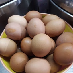 ไข่ต้ม