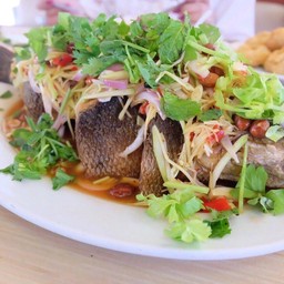 ยำปลาช่อนทอดกรอบ