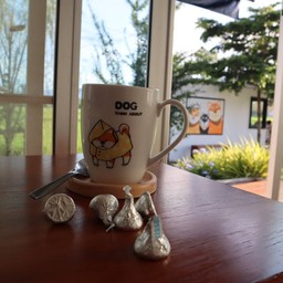 นมสดร้อน