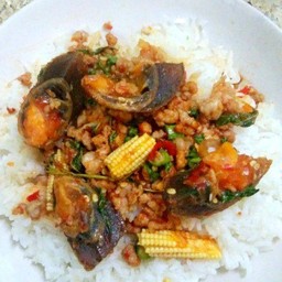 กระเพราหมูสับไข่เยี้ยวม้า