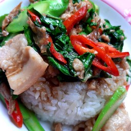 ข้าวคะน้าน้ำมันหอย