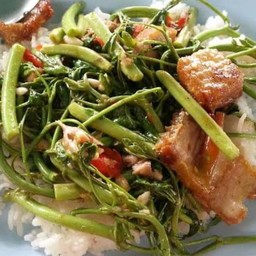 กะเฉดราดข้าว
