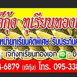 เจ๊กุ้ง ทุเรียนทองเอก