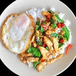 ข้าวราดกระเพราไก่