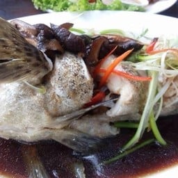 เก๋านึ่งซีอิ๊ว