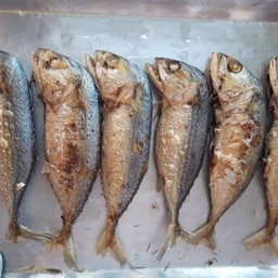 ปลาทูทอด